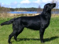 Oona